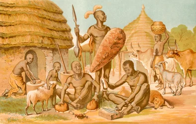 Personas Negras - Ocupación Doméstica y Diaria
