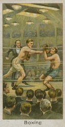 Boxeo