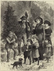Llevando a casa el árbol de Navidad