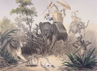 Oficiales británicos disparando a un tigre en la India