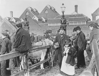 Mercado de Ganado de Aldea Británica, Victoriano, siglo XIX (fotografía)