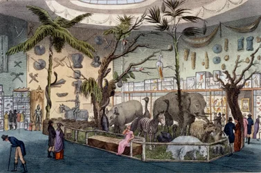 Museo Bullocks, 22 Piccadilly, Londres, del Repositorio de Artes de Ackermann, 1809