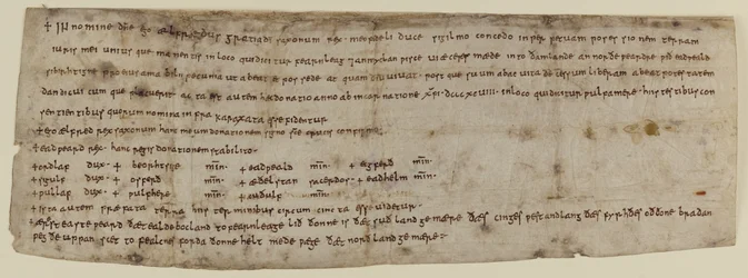 Carta del Rey Alfredo, c898