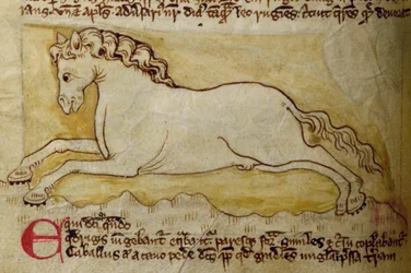 CCA-LitMs/D/10 fol. 10r Caballo, del Bestiario