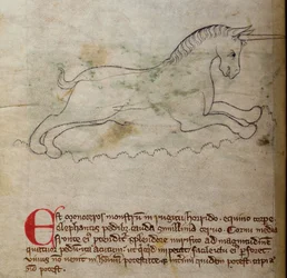 Monoceros, del Bestiario