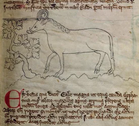 CCA-LitMs/D/10 fol. 4r Yale, del Bestiario