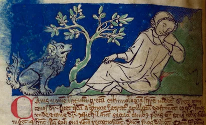CCA-LitMs/D/10 fol. 5v Perro, del Bestiario