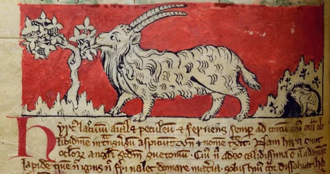 Cabra, del Bestiario
