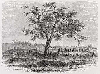 Cementerio y árbol sagrado en Mbinda, de 