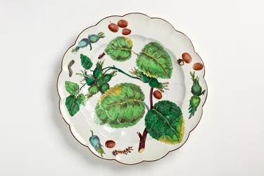 Plato de Chelsea decorado con ilustración botánica de nueces, insectos y hojas, 1755