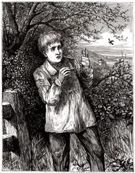 Niño asustado por una abeja - ilustración, principios del siglo XX.