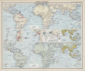 Cacao y especias (litografía en color)