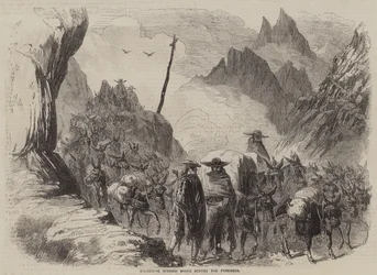 Transportando vinos españoles a través de los Pirineos