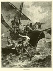 Pesca de coral