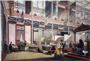 Algodón, de Imágenes Comprensivas de la Gran Exposición de 1851 de Dickinson, publicado en 1854