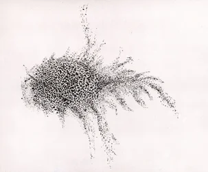 Nebulosa del Cangrejo" por William Parsons, de "Observations on some of the Nebulae" de "Philosophical Transactions of the Royal Society".