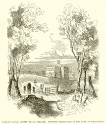 Castillo de Dangan, Condado de Meath, Irlanda. Supuesto lugar de nacimiento del Duque de Wellington