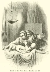 Muerte del primogénito, Éxodo, xii, 29