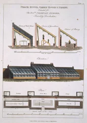 Diseño para Casa de Duraznos, Invernadero y Piñera, 1806