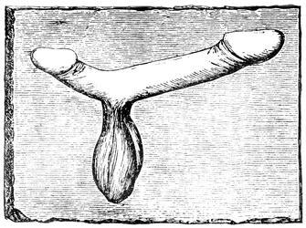 Doble falo del dintel de un vomitorio (pasaje de salida) en el anfiteatro de Nimes (Colonia Nemausus)