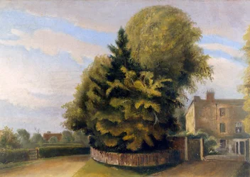 Down House from the North (óleo sobre lienzo)