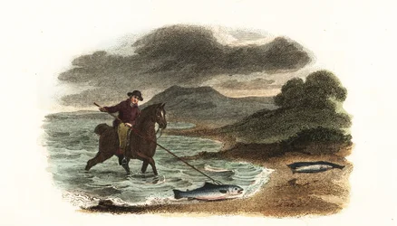 Pescador inglés Graham cazando salmones en los bajíos montado a caballo con una lanza de 5 metros y 3 puntas