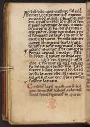 Extractos de la Historia Anglorum de Enrique de Huntingdon, Cotton MS Titus D XXIV, f.132v (vitela)