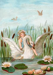 Hada montando un cisne blanco entre juncos y nenúfares