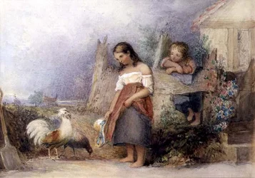Alimentando a las gallinas