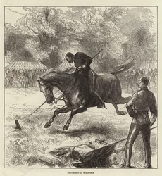 Portada del Illustrated London News, 12 de junio de 1875