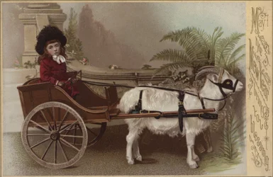 Niña en un carro de cabras, tarjeta de felicitación de Año Nuevo
