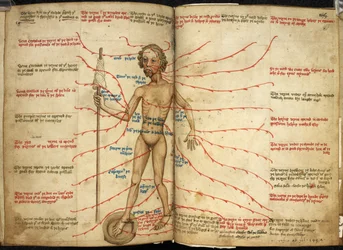 Harley 3719, ff.158v-159 Miniatura de un hombre sangrante con un pie en una bandeja sangrante y un eje en la mano, ilustración de 