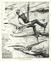 Utiliza su "cuchara de huevos" (grabado)