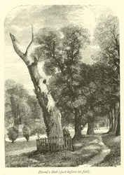 El Roble de Herne, justo antes de su caída