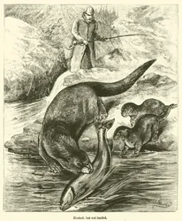 Enganchado, pero no atrapado