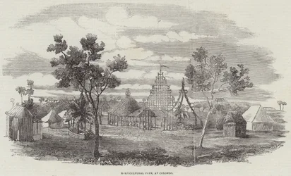 Fiesta Hortícola, en Colombo (grabado)