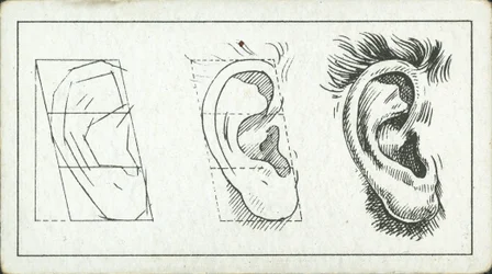 Cómo dibujar: La oreja (litografía)