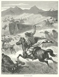 Caza (grabado)