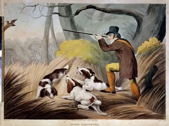 Caza de un pico en Inglaterra