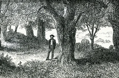 Ilustración de 