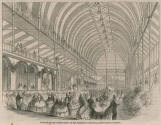 Interior del invernadero en los jardines de la Sociedad Hortícola Real