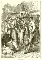 Campesinos irlandeses