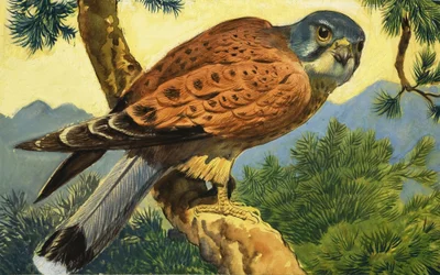 Cernícalo