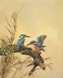 Martines pescadores, c.1890