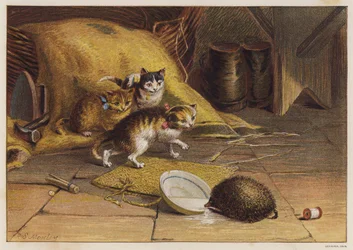 Gatitas desconcertadas por un erizo (color litho)