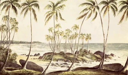 Playa de Kosgoda, Ceilán, c.1835