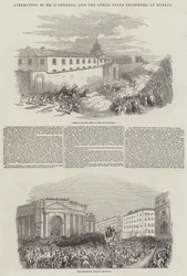 Liberación de Mr. O