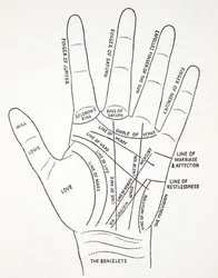 Líneas de la mano