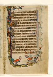 Dos grotescos con forma de pájaro, decoración marginal del Salterio de Macclesfield, Uso de Sarum, East Anglia, c.1330