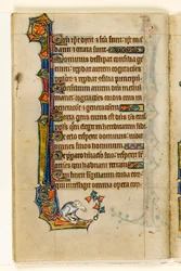 Una grotesca, decoración marginal del Salterio de Macclesfield, Uso de Sarum, East Anglia, c.1330